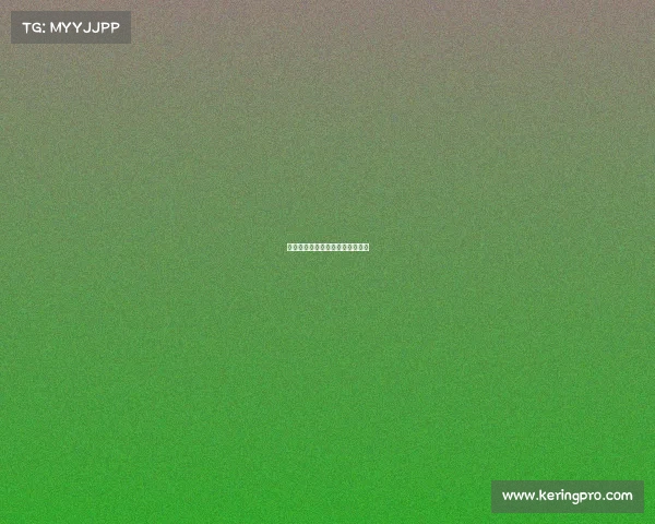 德甲赛季开局,柏林联合高歌猛进 德甲赛季开局,柏林联合高歌猛进